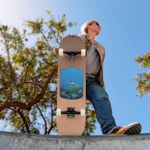 Schwarzspitzen-Riffhai, Yap-Insel - Fotografisches Skateboard