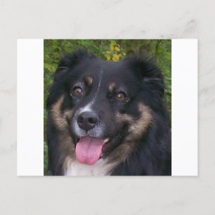 Schwarztrai Postkarte