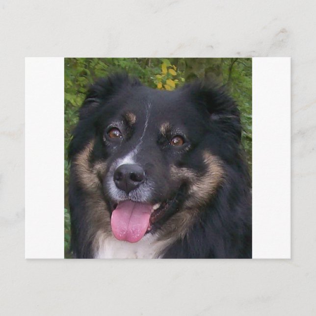 Schwarztrai Postkarte (Vorderseite)