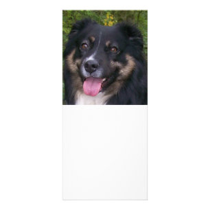 Schwarztrai Werbekarte