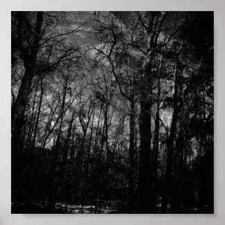 SCHWARZWALD AUF DEM POSTER