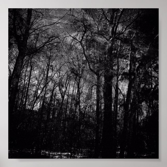 SCHWARZWALD AUF DEM POSTER (Vorne)