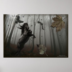 Schwarzwald Poster