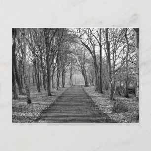 Schwarzwald Postkarte