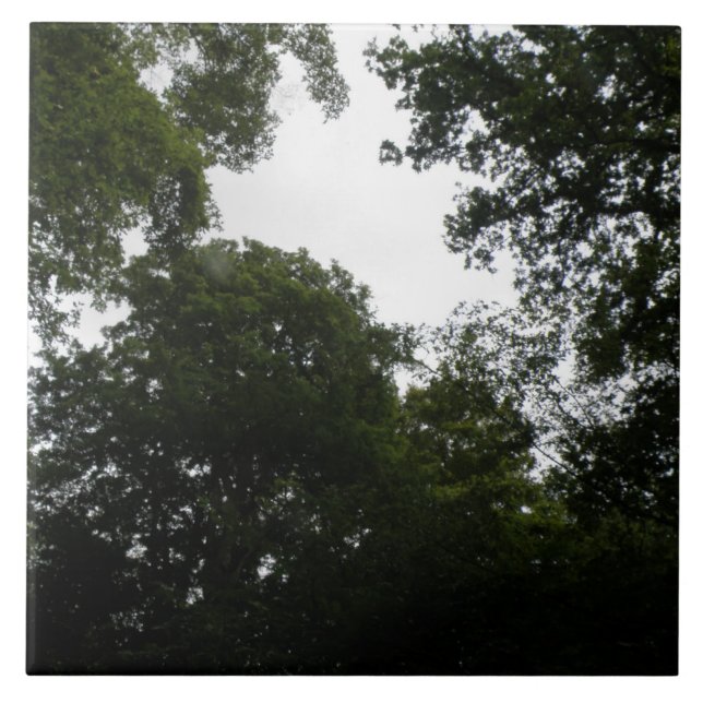 Schwarzwald-Tile Fliese (Vorderseite)