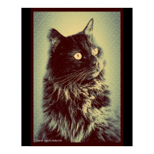 Schwarzwaldkatze