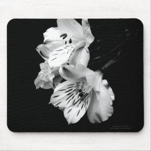 Schwarzweiss-Alstroemeria-Lilie Mousepad