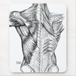 Schwarzweiss-Anatomie-Kunst-Rückenmuskel (1890) Mousepad
