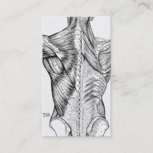 Schwarzweiss-Anatomie-Kunst-Rückenmuskel (1890) Visitenkarte