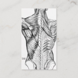 Schwarzweiss-Anatomie-Kunst-Rückenmuskel (1890) Visitenkarte
