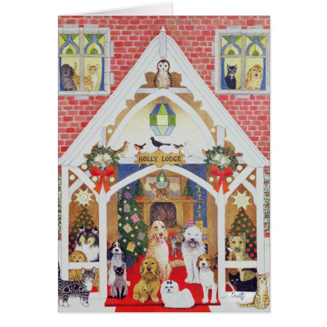 Schwarzweiss-Bärte (Vorne)