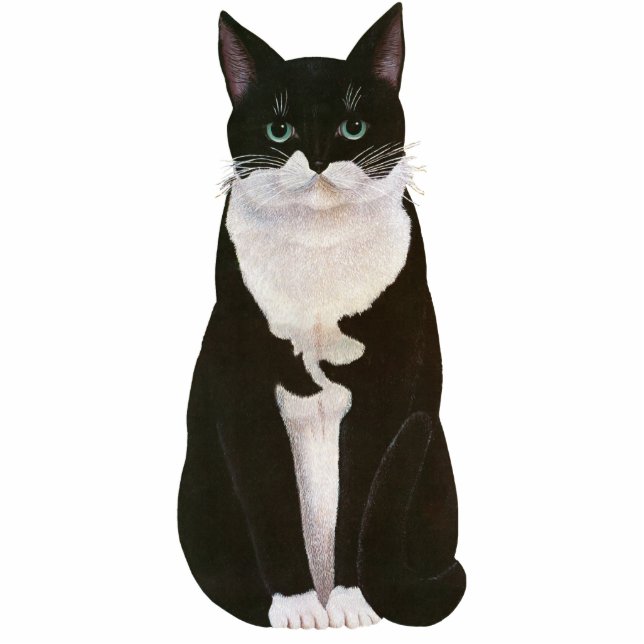 Schwarzweiß, Bicolatkatze - Alte Abbildung Freistehende Fotoskulptur (Vorne)