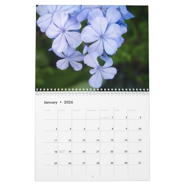 Schwarzweiß-Blume Kalender (Jan 2026)