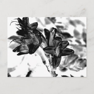 Schwarzweiß-Blume Postkarte