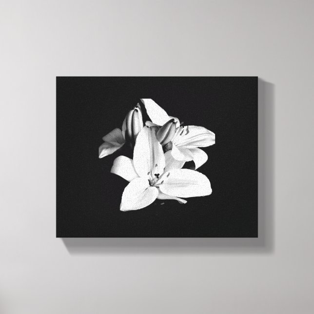 Schwarzweiß-Blume-StretchCanvas Leinwanddruck (Vorderseite)