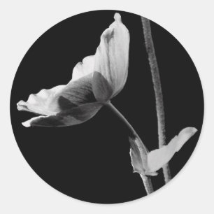 Schwarzweiss-Blumen-Aufkleber Runder Aufkleber