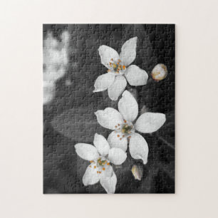 Schwarzweiss-Blumen-Fotografie-Puzzlespiel