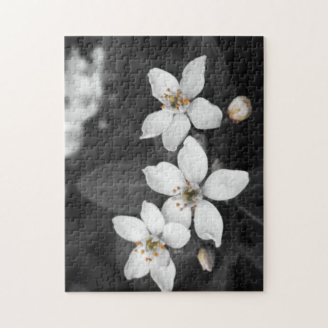 Schwarzweiss-Blumen-Fotografie-Puzzlespiel (Vertikal)