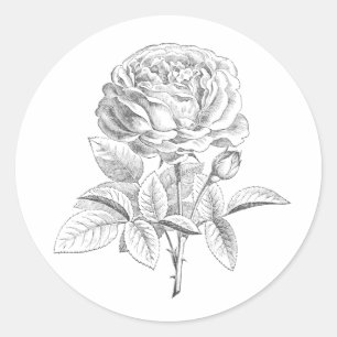 Schwarzweiss-Blumenaufkleber der Vintagen Rose Runder Aufkleber