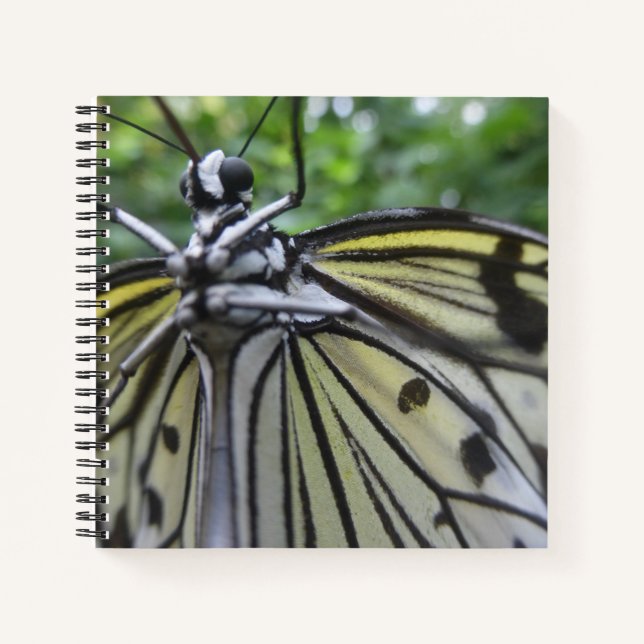 Schwarzweiß-Butterfly Nah Up-Notebook Notizbuch (Vorderseite)