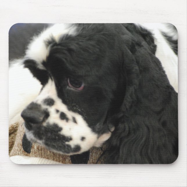 Schwarzweiss-Cocker spaniel-Mausunterlage Mousepad (Vorne)