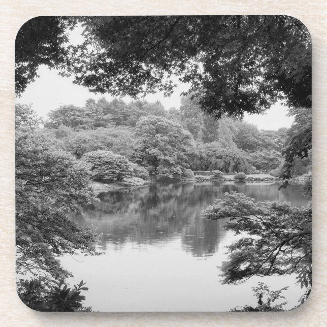 Schwarzweiß, cool, einzigartig Natur und See Getränkeuntersetzer (Vorderseite)
