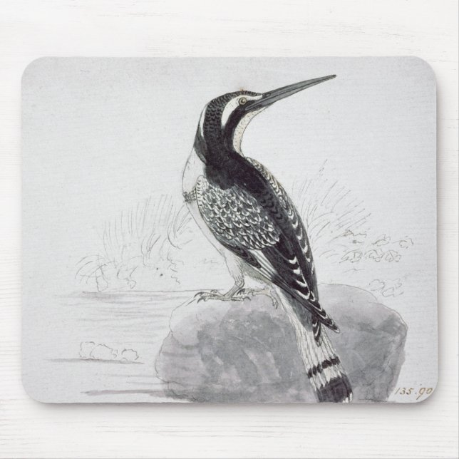 Schwarzweiss-Eisvogel Mousepad (Vorne)