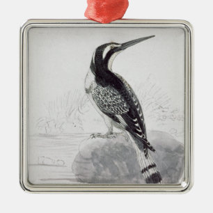 Schwarzweiss-Eisvogel Silbernes Ornament