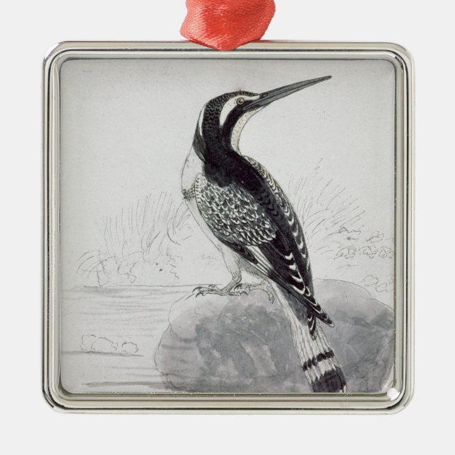 Schwarzweiss-Eisvogel Silbernes Ornament (Vorne)