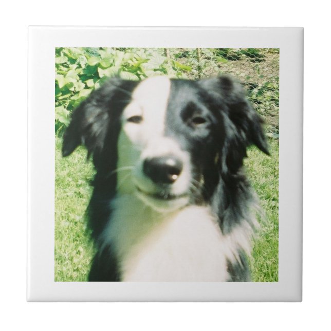 Schwarzweiß Fliese (Vorderseite)