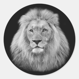 Schwarzweiss-Foto des majestätischen männlichen Runder Aufkleber