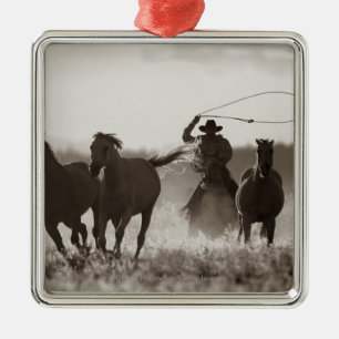 Schwarzweiss-Foto von ein Cowboy Lassoing Pferden Ornament Aus Metall