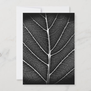 Schwarzweiß glühendes Blatt Nahaufnahme Dankeskarte