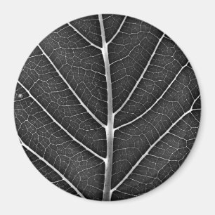 Schwarzweiß glühendes Blatt Nahaufnahme Magnet
