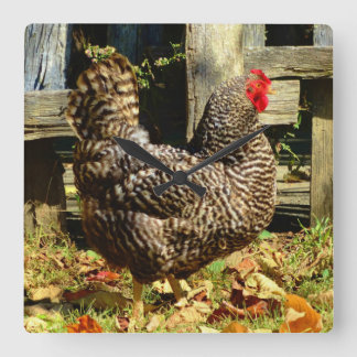 Schwarzweiss-Huhn Quadratische Wanduhr