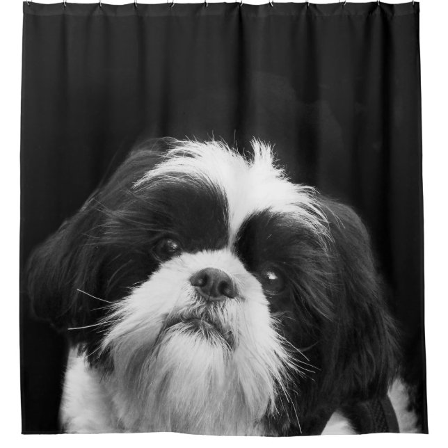 Schwarzweiss-Hundeduschvorhang Shih Tzu Duschvorhang (Vorderseite)