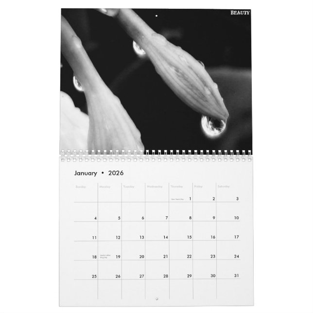 Schwarzweiss-Kalender 2010 Kalender (Jan 2026)