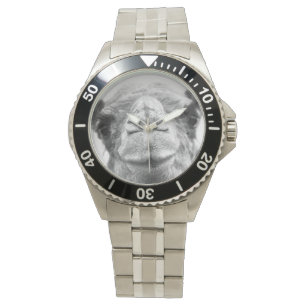 Schwarzweiss-Kamel küsst das Foto-Armbanduhr der Armbanduhr