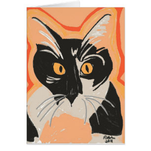 Schwarzweiss-Kätzchen