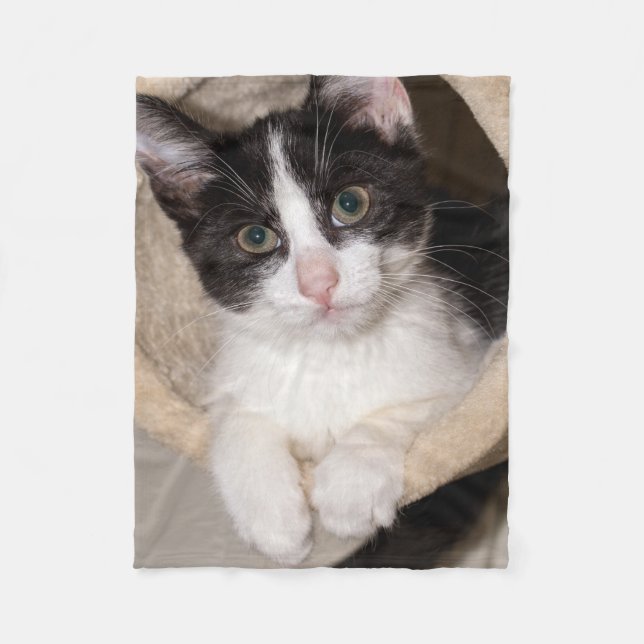 Schwarzweiss-Kätzchen Fleecedecke (Vorderseite)