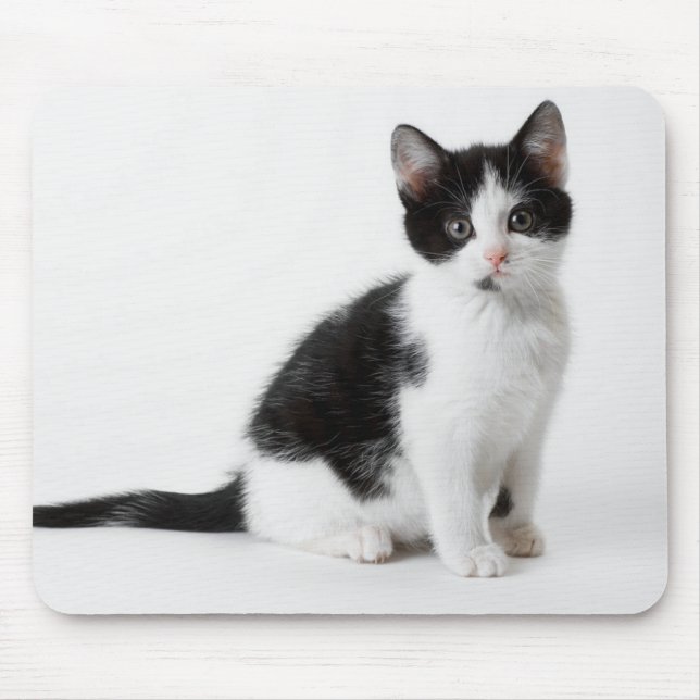 Schwarzweiss-Katze des niedlichen lustigen Mousepad (Vorne)