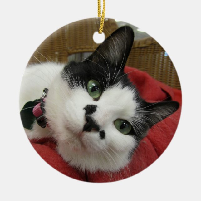 Schwarzweiss-Katze Keramik Ornament (Vorne)