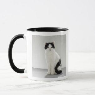 Schwarzweiss-Katze mit glühenden grünen Augen Tasse