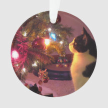 Schwarzweiss-Katze mit Weihnachtsbaum-Verzierung