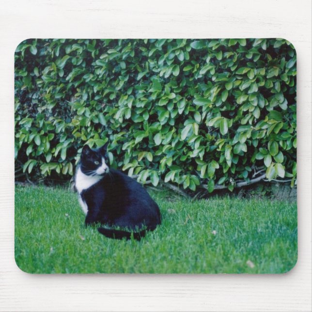 Schwarzweiss-Katze Mousepad (Vorne)