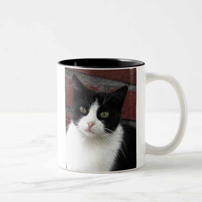 Schwarzweiss-Katze Zweifarbige Tasse (Rechts)