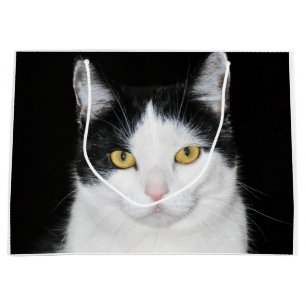 Schwarzweiss-Katzen-Porträt Große Geschenktüte