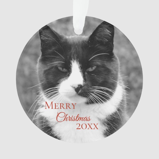 Schwarzweiss-Katzen-Weihnachten Ornament (Vorderseite)