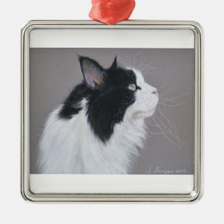 Schwarzweiss-Maine-Waschbärkatze Ornament Aus Metall