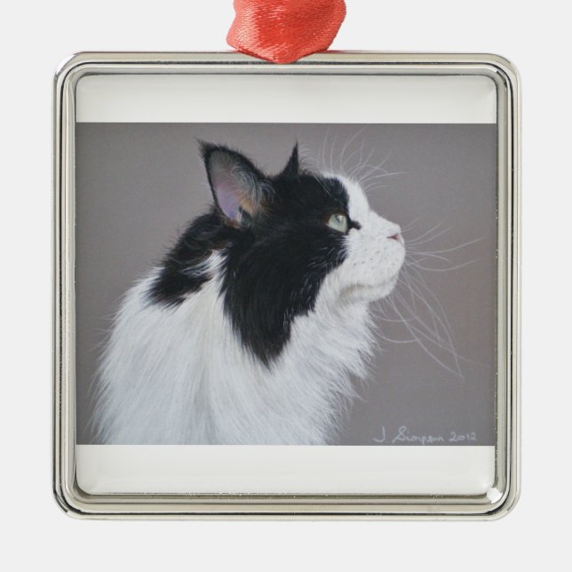 Schwarzweiss-Maine-Waschbärkatze Ornament Aus Metall (Vorne)